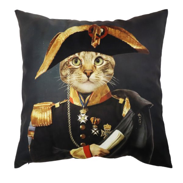 Mr Cat kuddfodral 45 x 45 cm, Redlunds